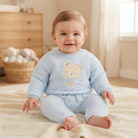 N14609: Baby Boys Quilted Top & Pant Outfit (0-9 Months)